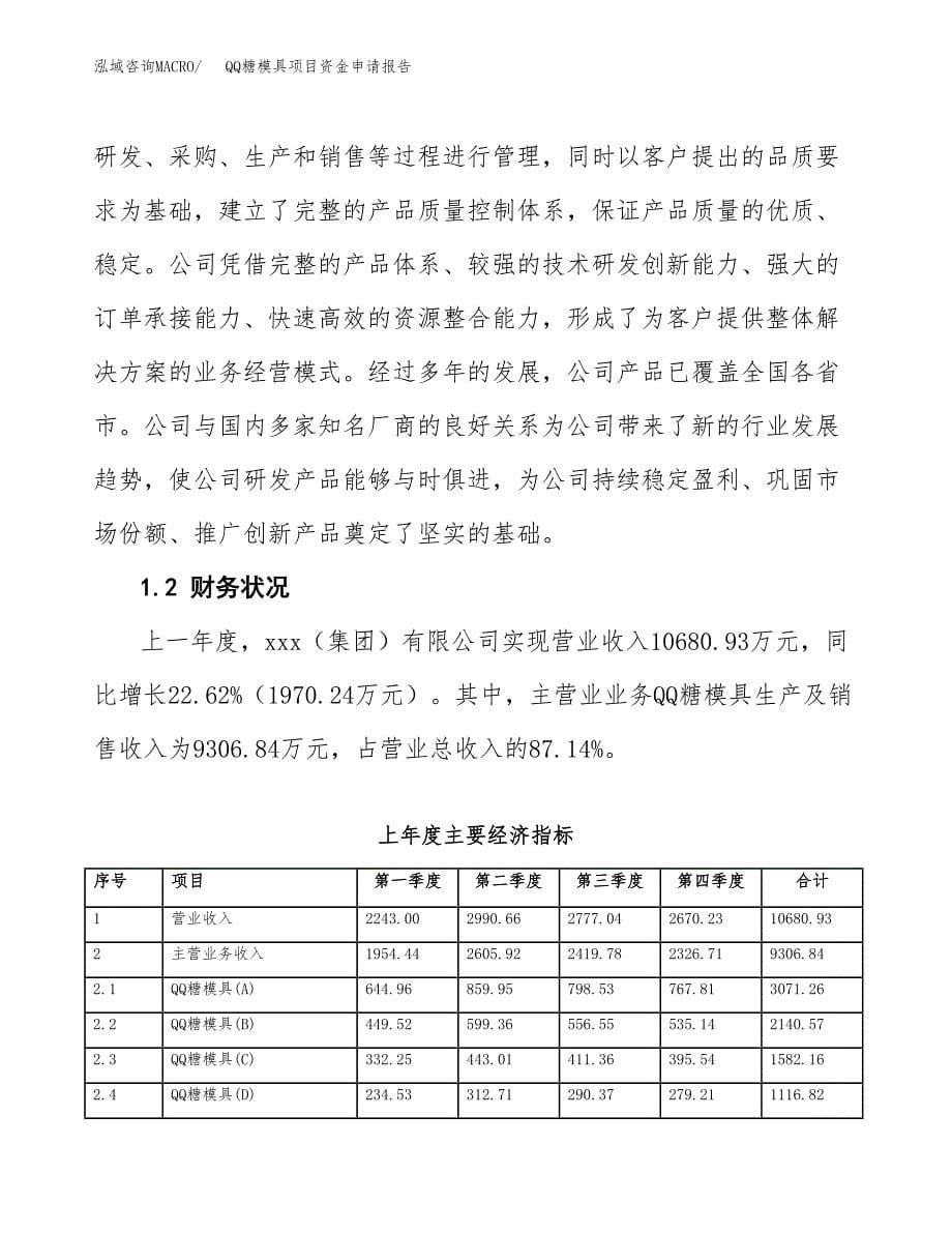 QQ糖模具项目资金申请报告.docx_第5页