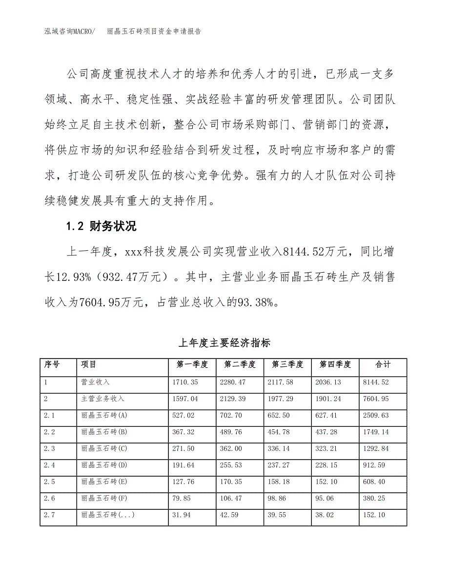 丽晶玉石砖项目资金申请报告.docx_第4页