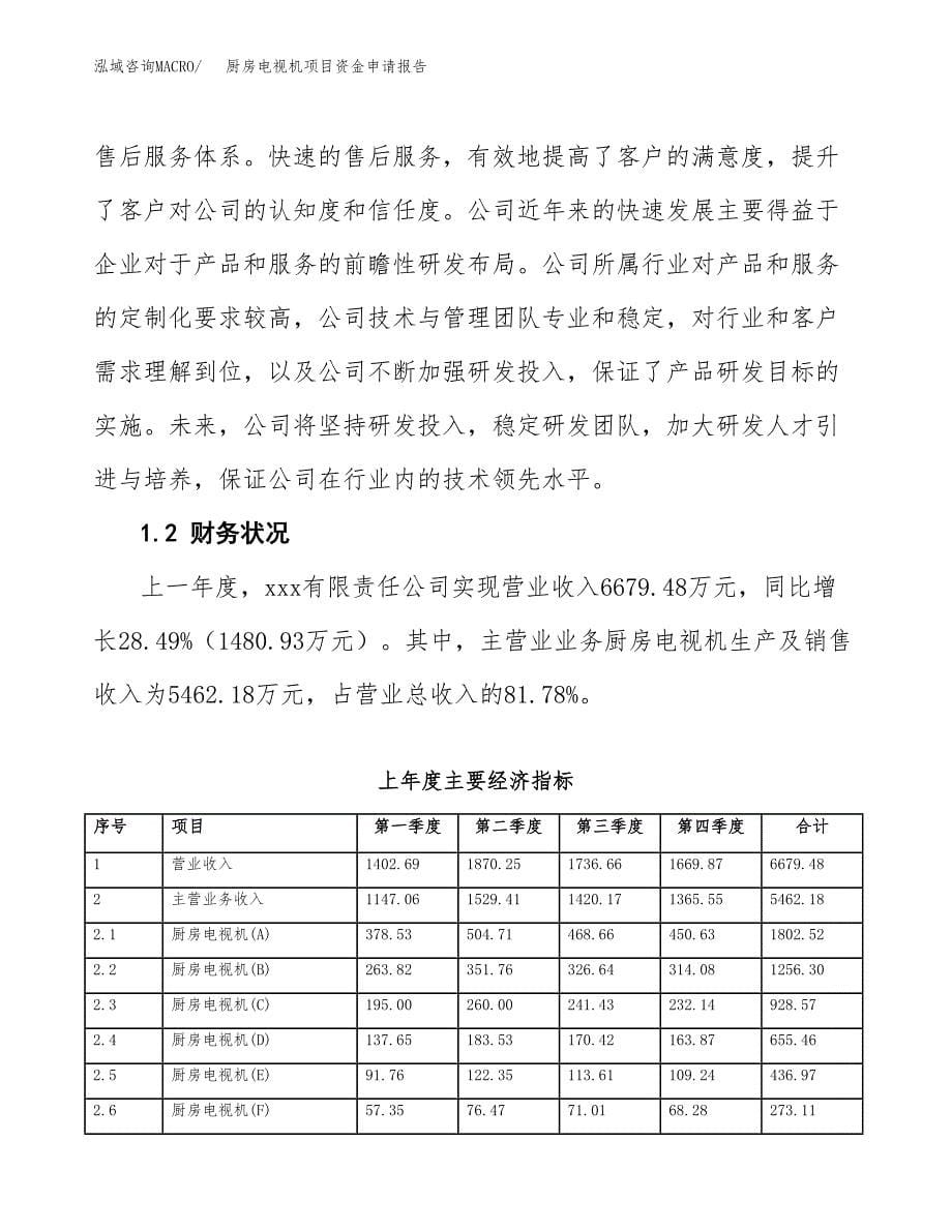 厨房电视机项目资金申请报告.docx_第5页