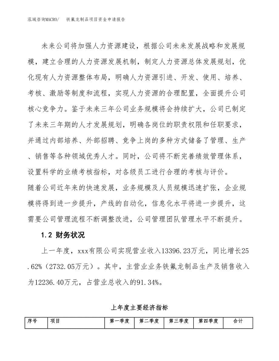 铁氟龙制品项目资金申请报告.docx_第5页