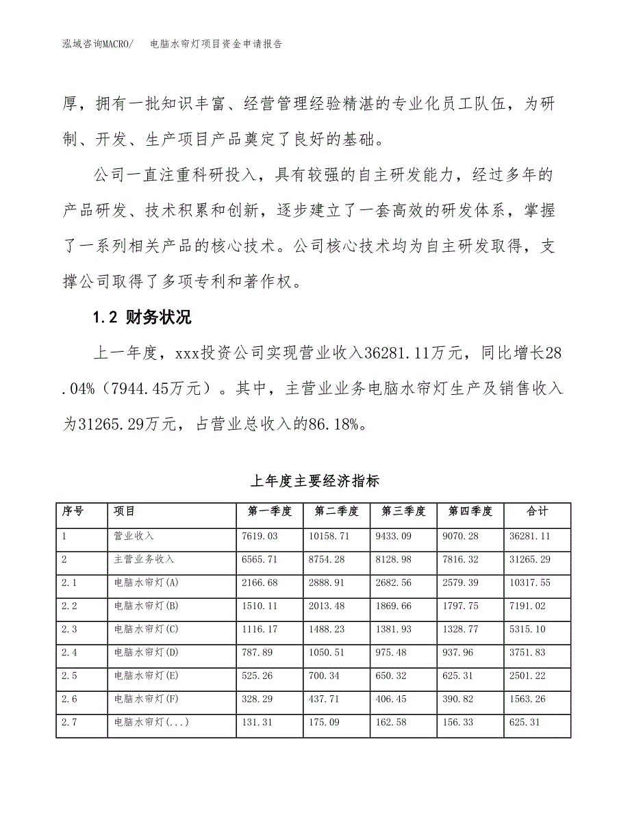 电脑水帘灯项目资金申请报告.docx_第4页