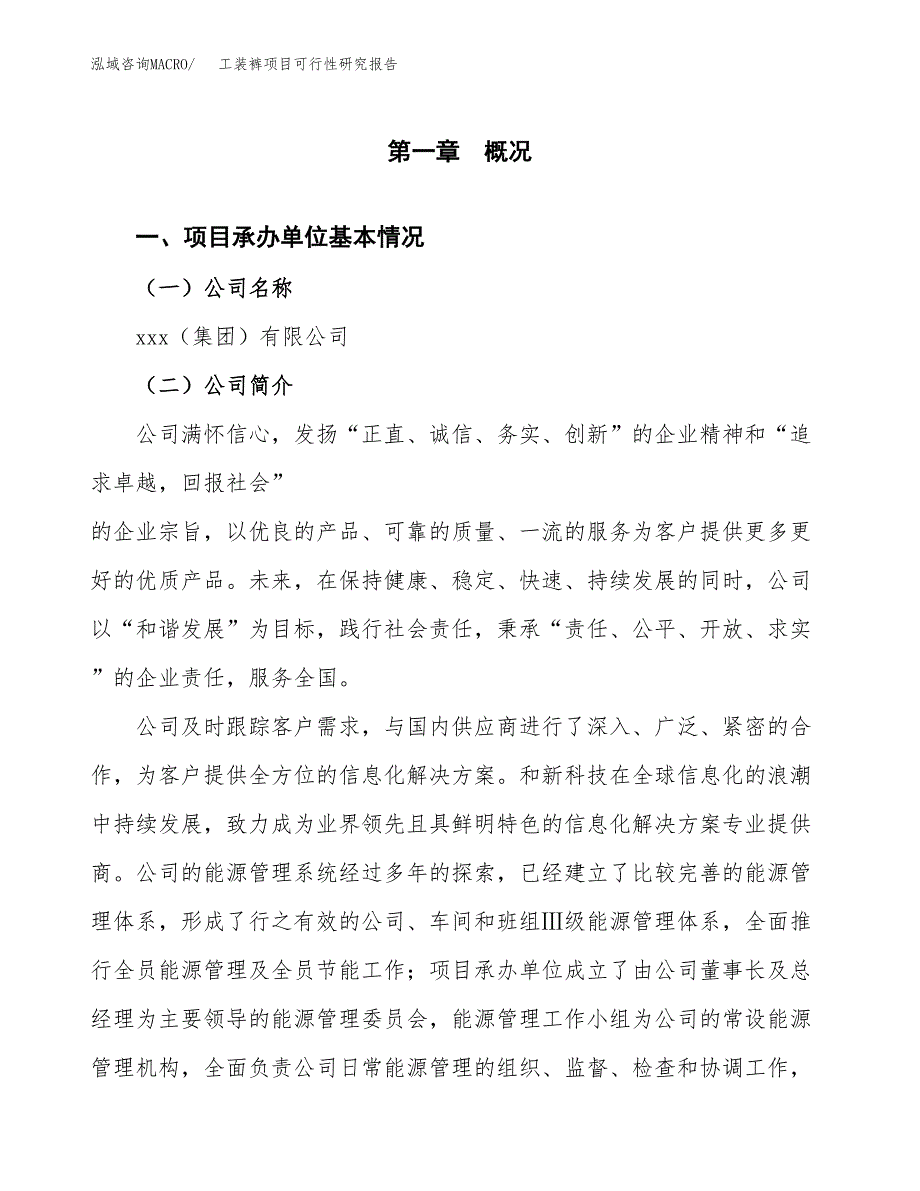 工装裤项目可行性研究报告（总投资13000万元）（55亩）_第3页