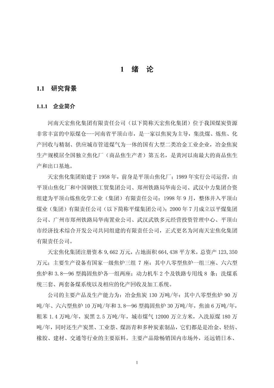 河南天宏焦化集团发展战略研究_第5页