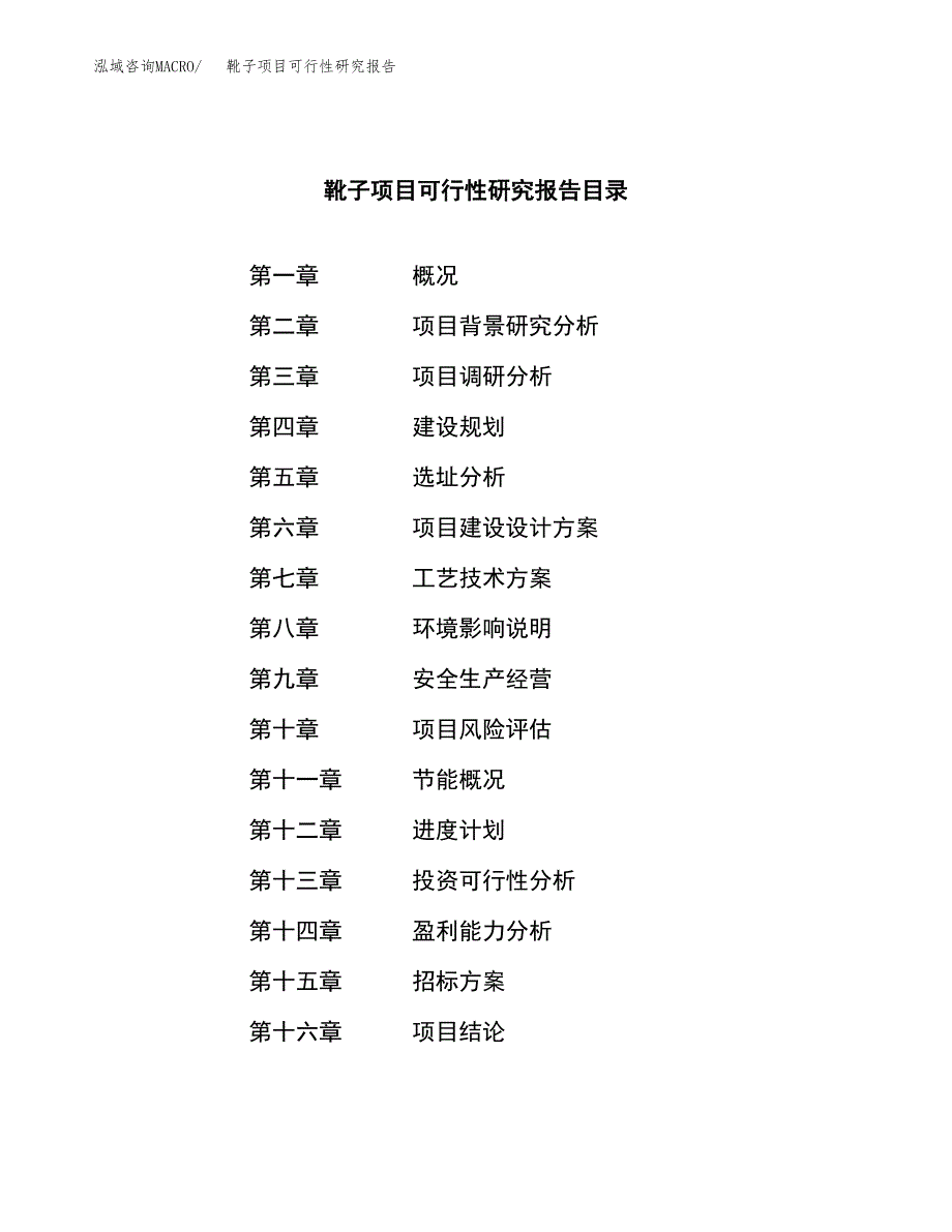 靴子项目可行性研究报告（总投资19000万元）（81亩）_第2页