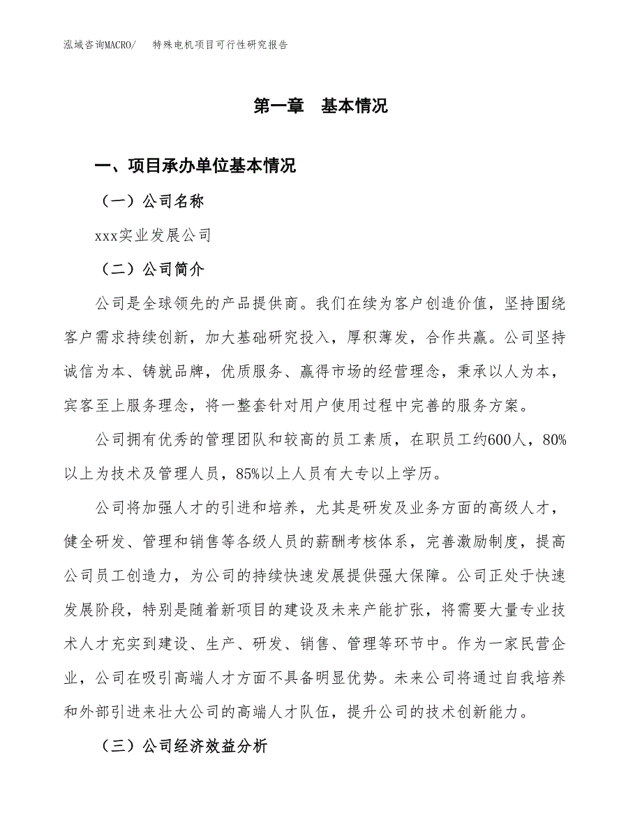 特殊电机项目可行性研究报告（总投资20000万元）（73亩）_第3页