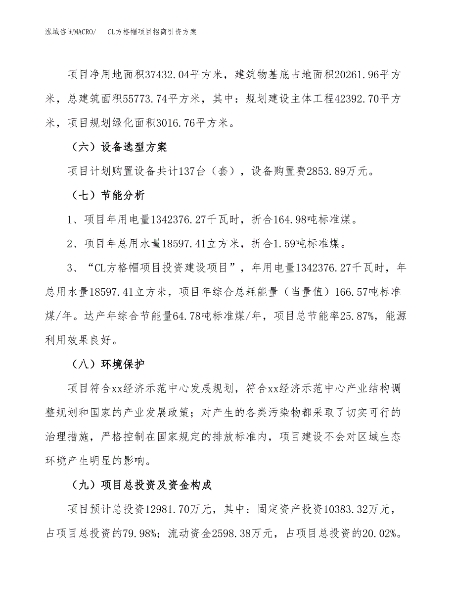 CL方格帽项目招商引资方案(立项报告).docx_第2页