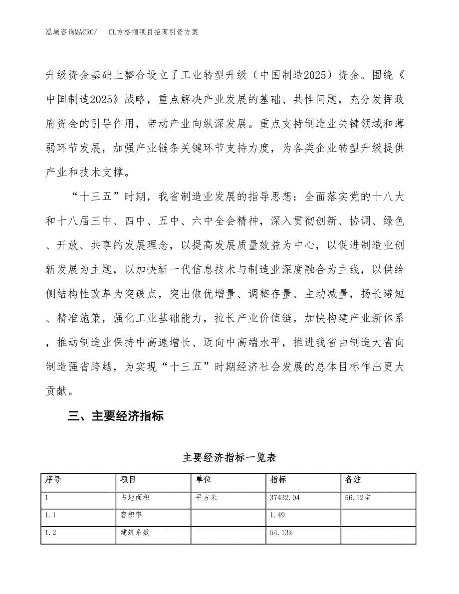 CL方格帽项目招商引资方案(立项报告).docx_第5页