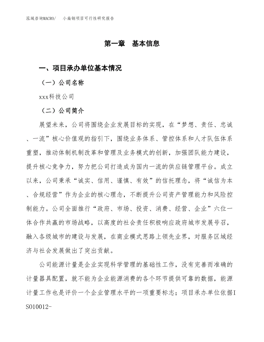 小扁钢项目可行性研究报告（总投资9000万元）（45亩）_第3页