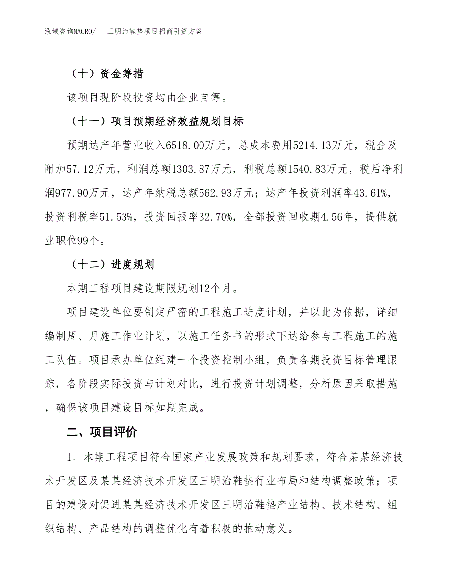 三明治鞋垫项目招商引资方案(立项报告).docx_第3页