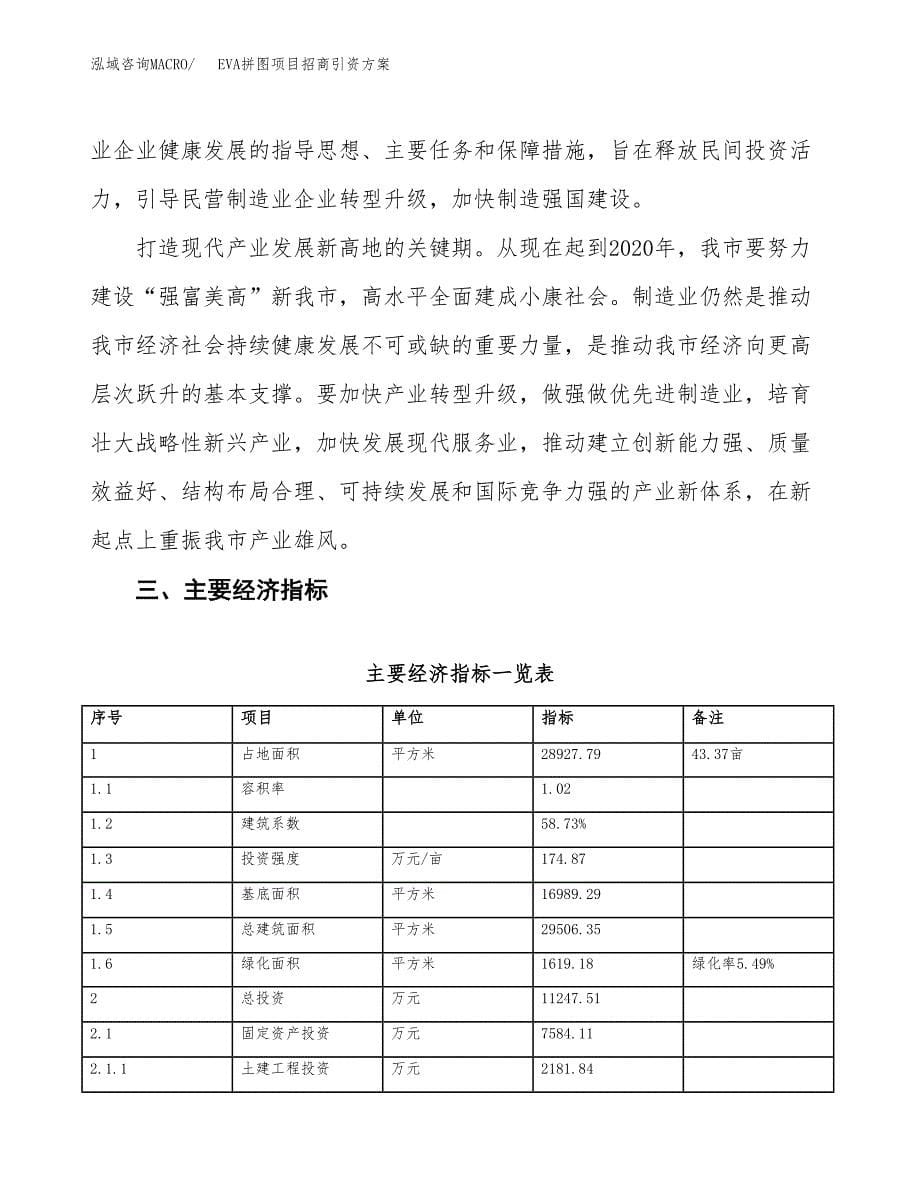 EVA拼图项目招商引资方案(立项报告).docx_第5页