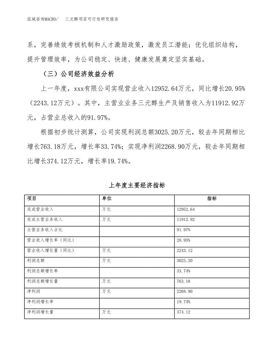 三元醇项目可行性研究报告（总投资12000万元）（51亩）_第5页