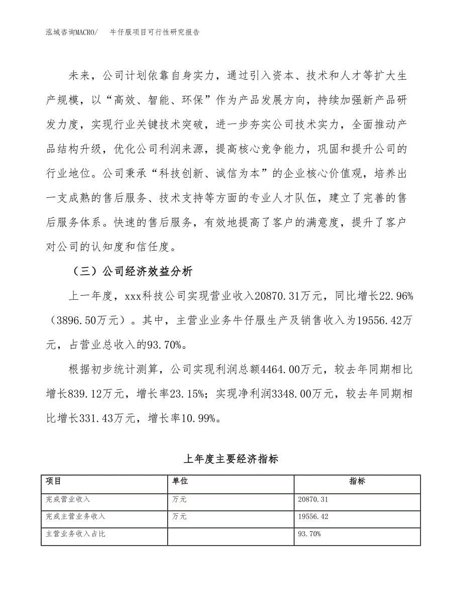 牛仔服项目可行性研究报告（总投资19000万元）（86亩）_第5页