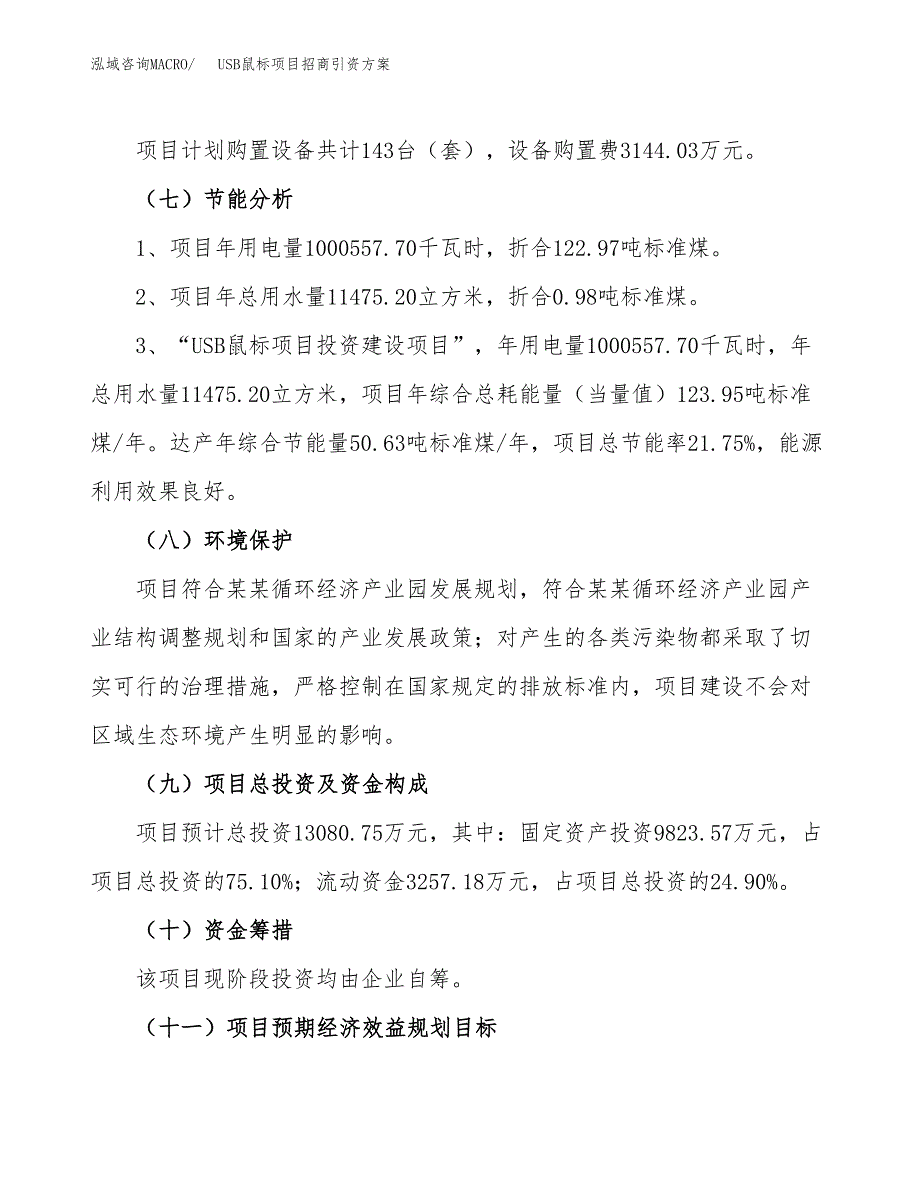 USB鼠标项目招商引资方案(立项报告).docx_第2页