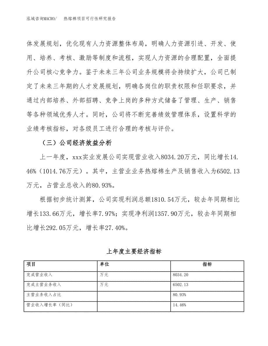 热熔棉项目可行性研究报告（总投资11000万元）（46亩）_第5页