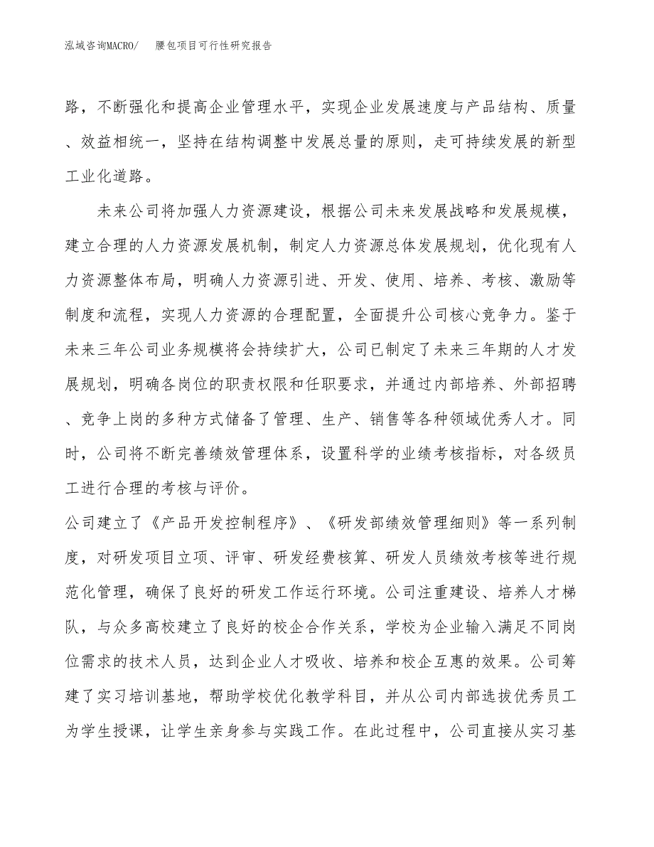 腰包项目可行性研究报告（总投资2000万元）（10亩）_第4页