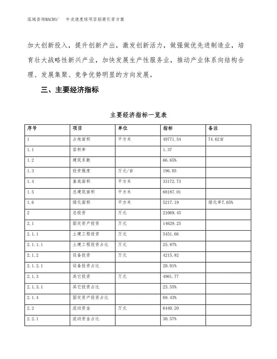 牛皮速度球项目招商引资方案(立项报告).docx_第5页