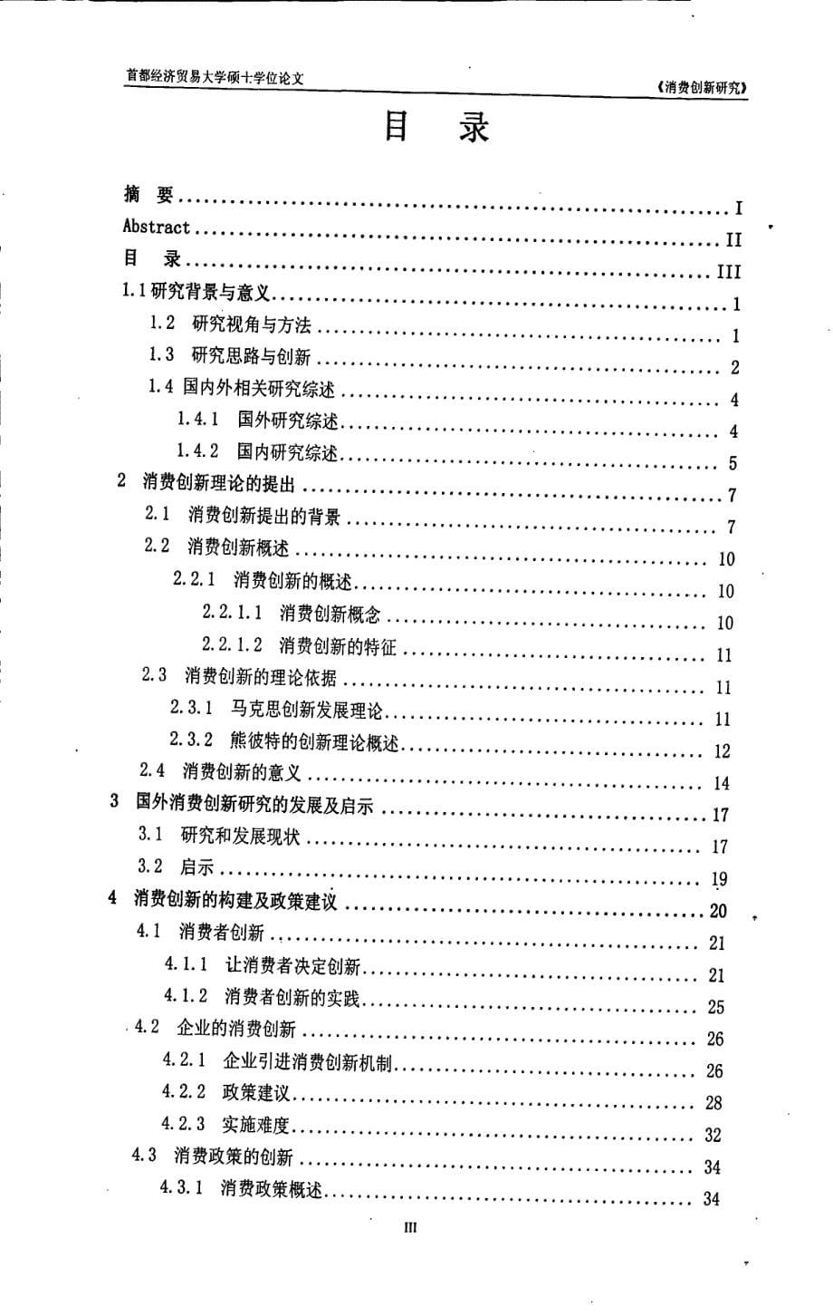 消费创新研究_第5页