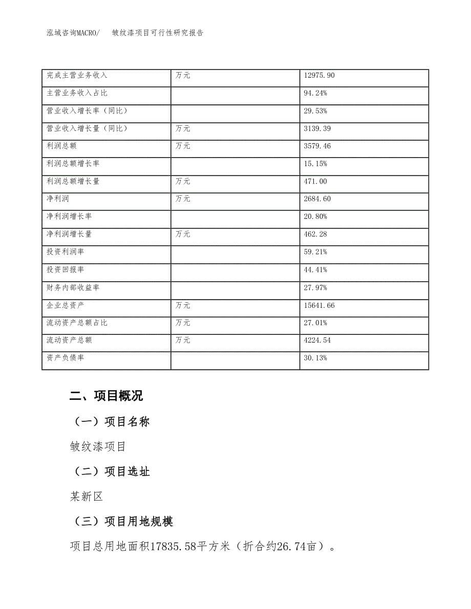 皱纹漆项目可行性研究报告（总投资7000万元）（27亩）_第5页