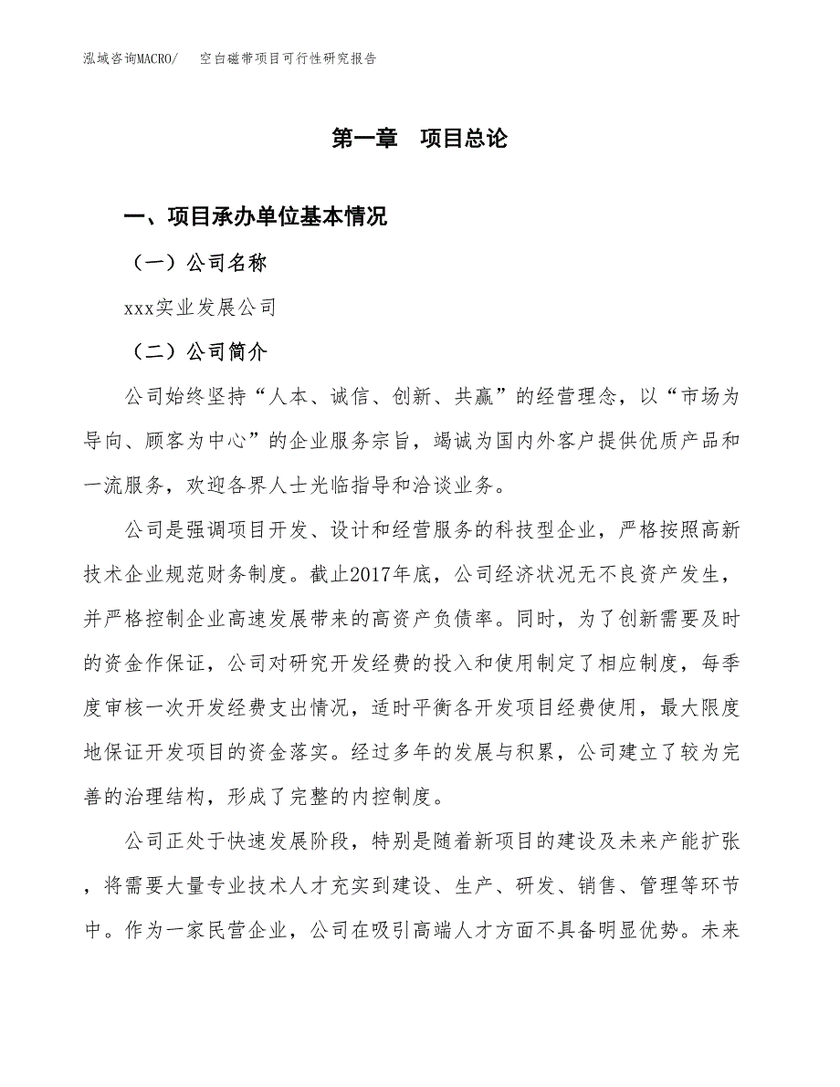 空白磁带项目可行性研究报告（总投资13000万元）（50亩）_第3页