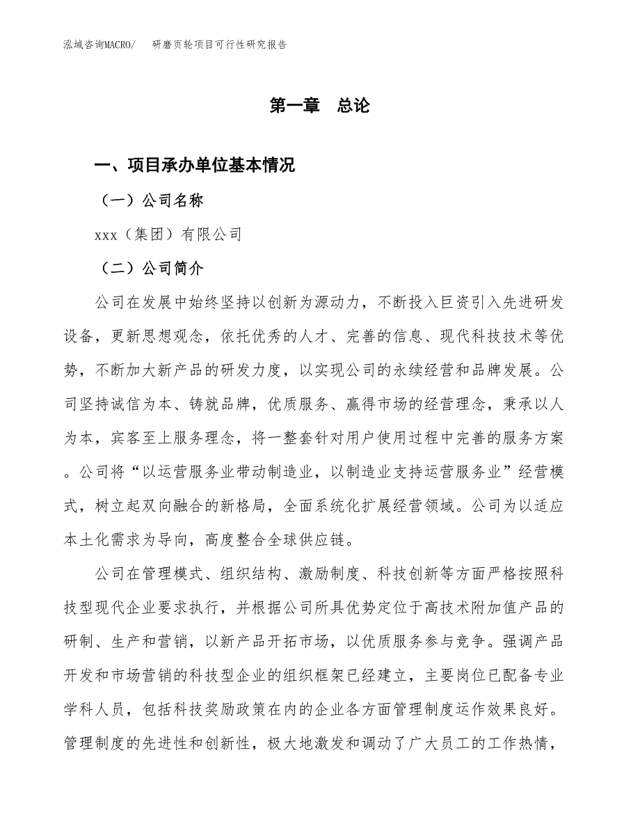 研磨页轮项目可行性研究报告（总投资16000万元）（61亩）_第3页