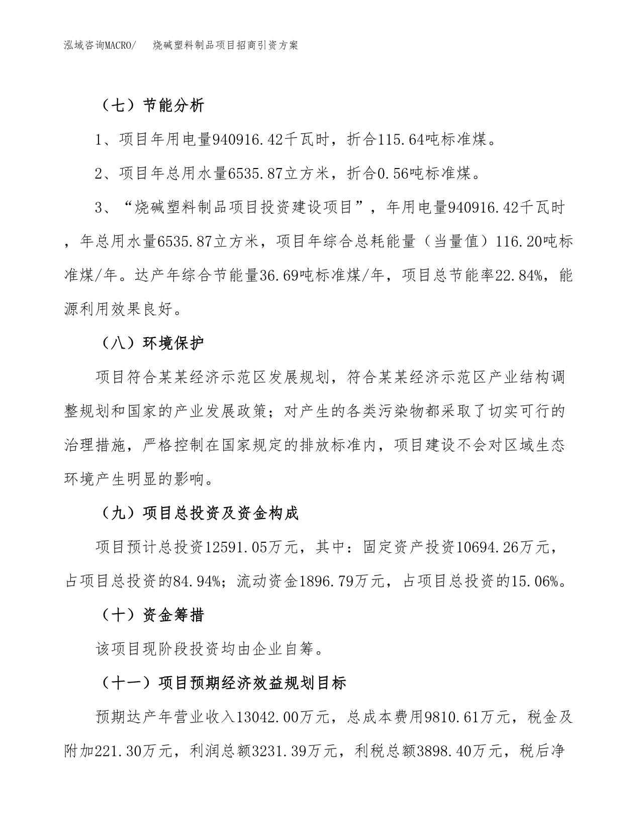 烧碱塑料制品项目招商引资方案(立项报告).docx_第2页