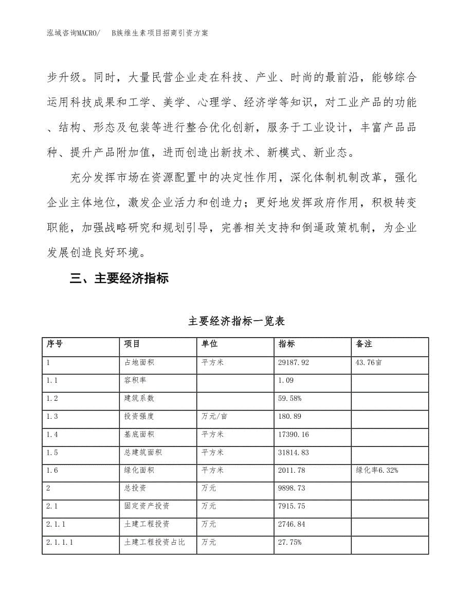 B族维生素项目招商引资方案(立项报告).docx_第5页