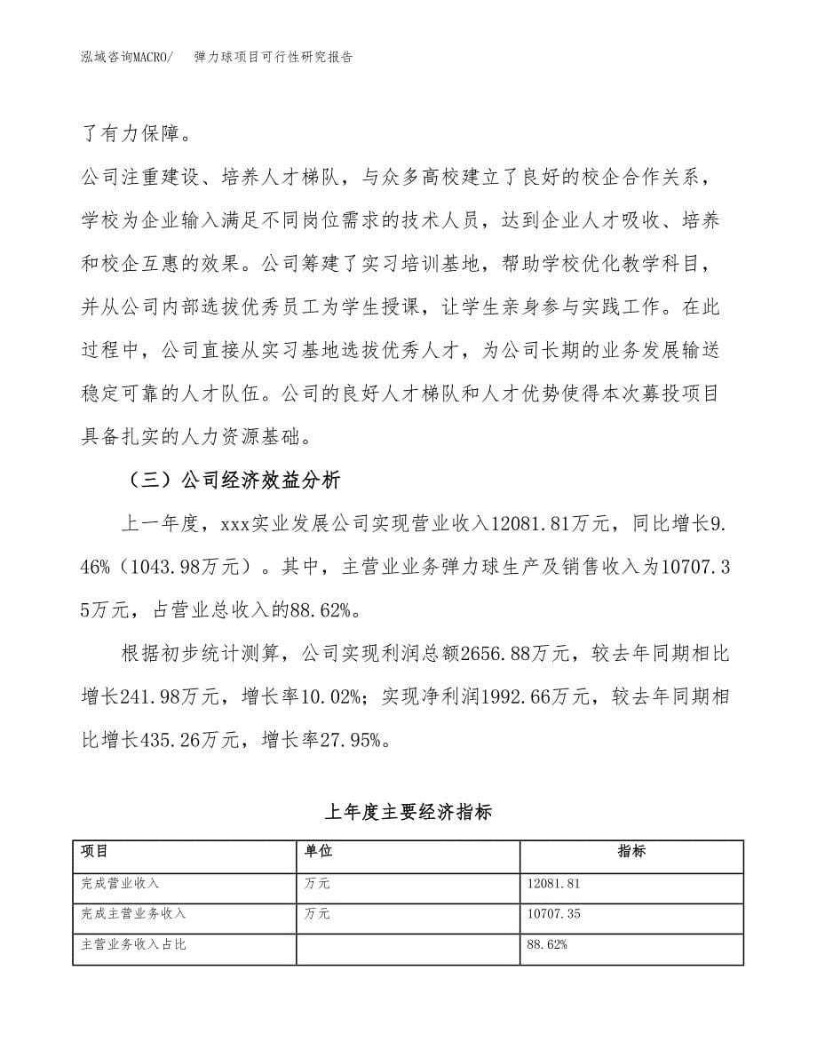 弹力球项目可行性研究报告（总投资6000万元）（22亩）_第5页