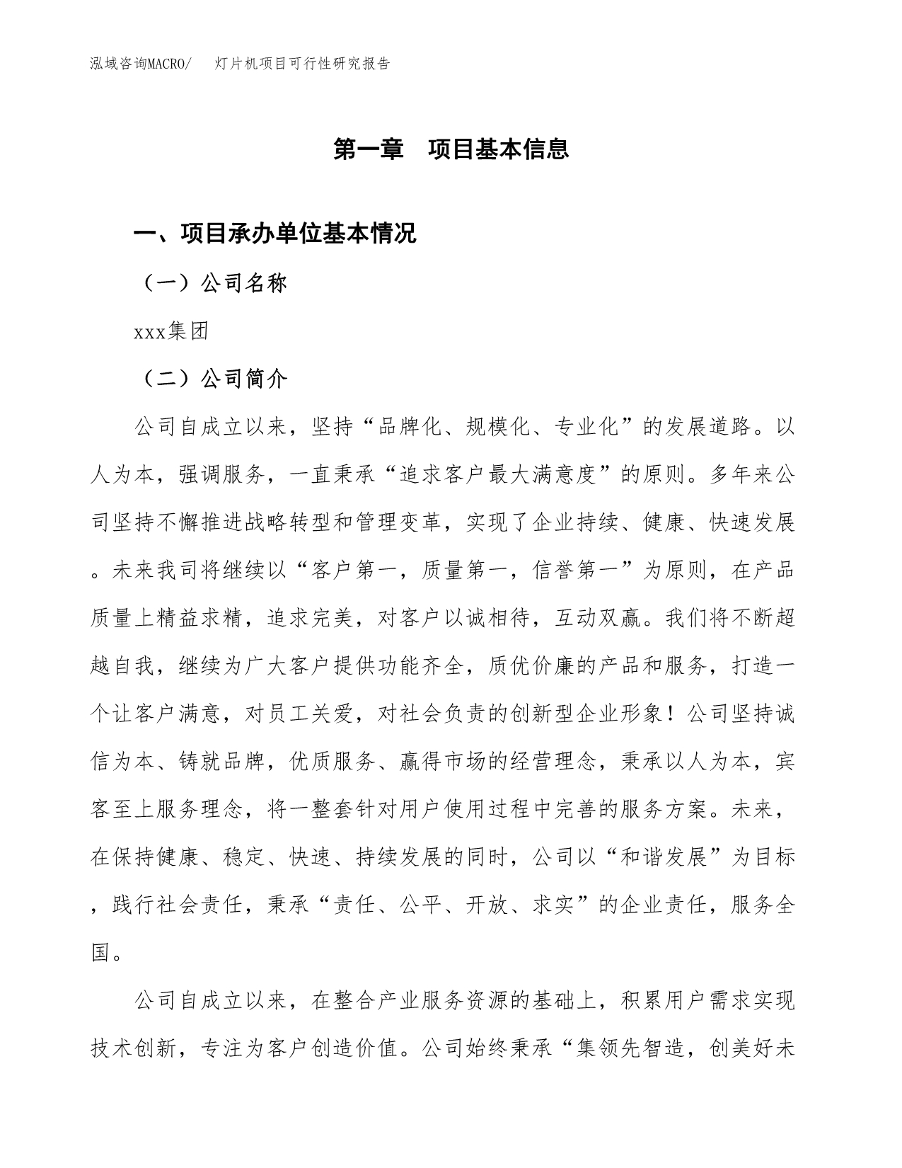 灯片机项目可行性研究报告（总投资10000万元）（38亩）_第3页