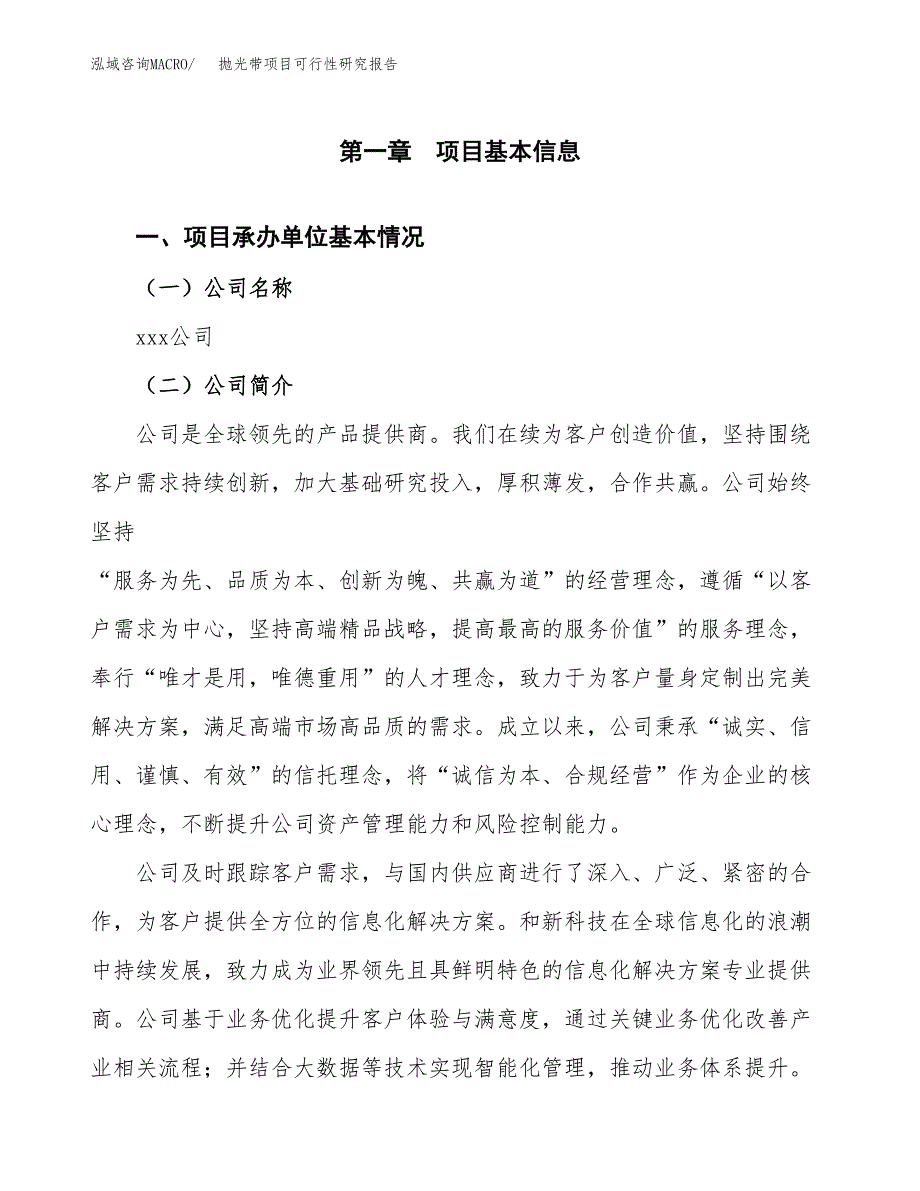 抛光带项目可行性研究报告（总投资10000万元）（51亩）_第3页