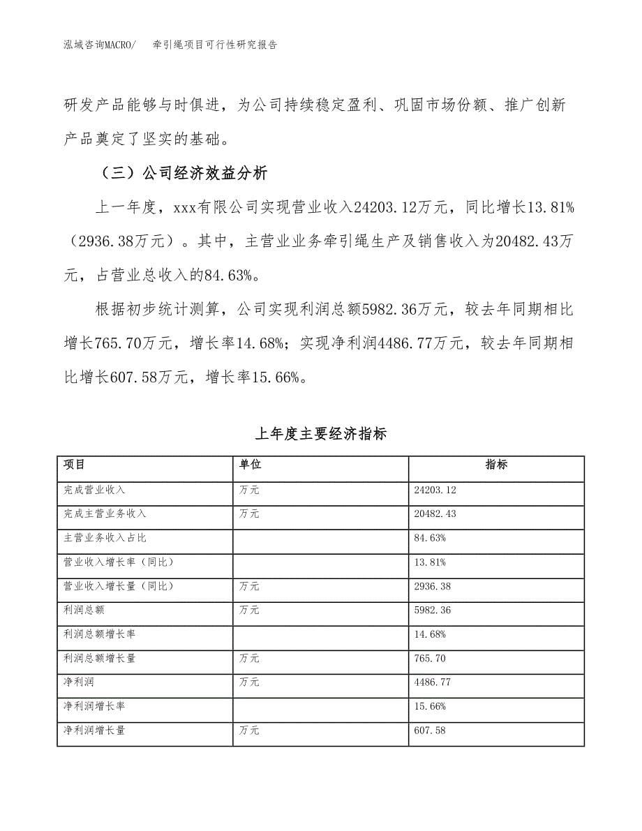 牵引绳项目可行性研究报告（总投资18000万元）（73亩）_第5页