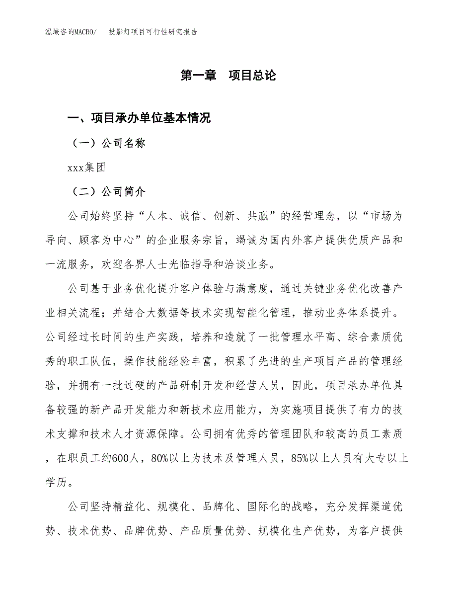 投影灯项目可行性研究报告（总投资5000万元）（18亩）_第3页