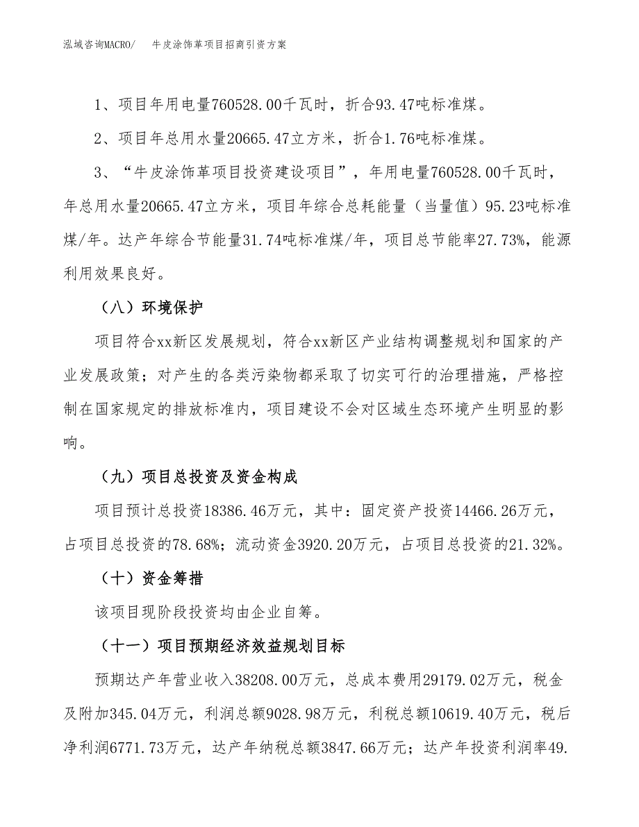 牛皮涂饰革项目招商引资方案(立项报告).docx_第2页