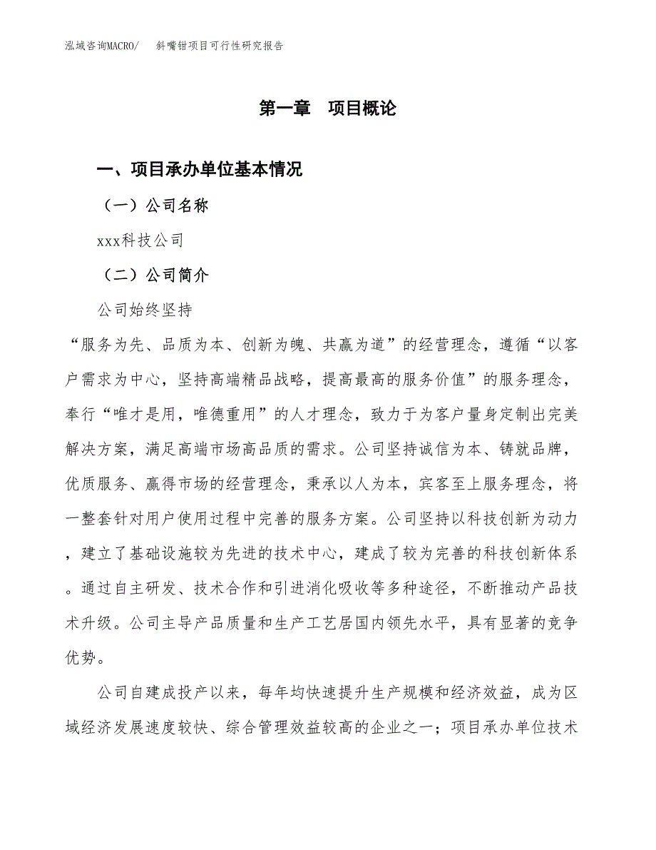 斜嘴钳项目可行性研究报告（总投资14000万元）（62亩）_第3页