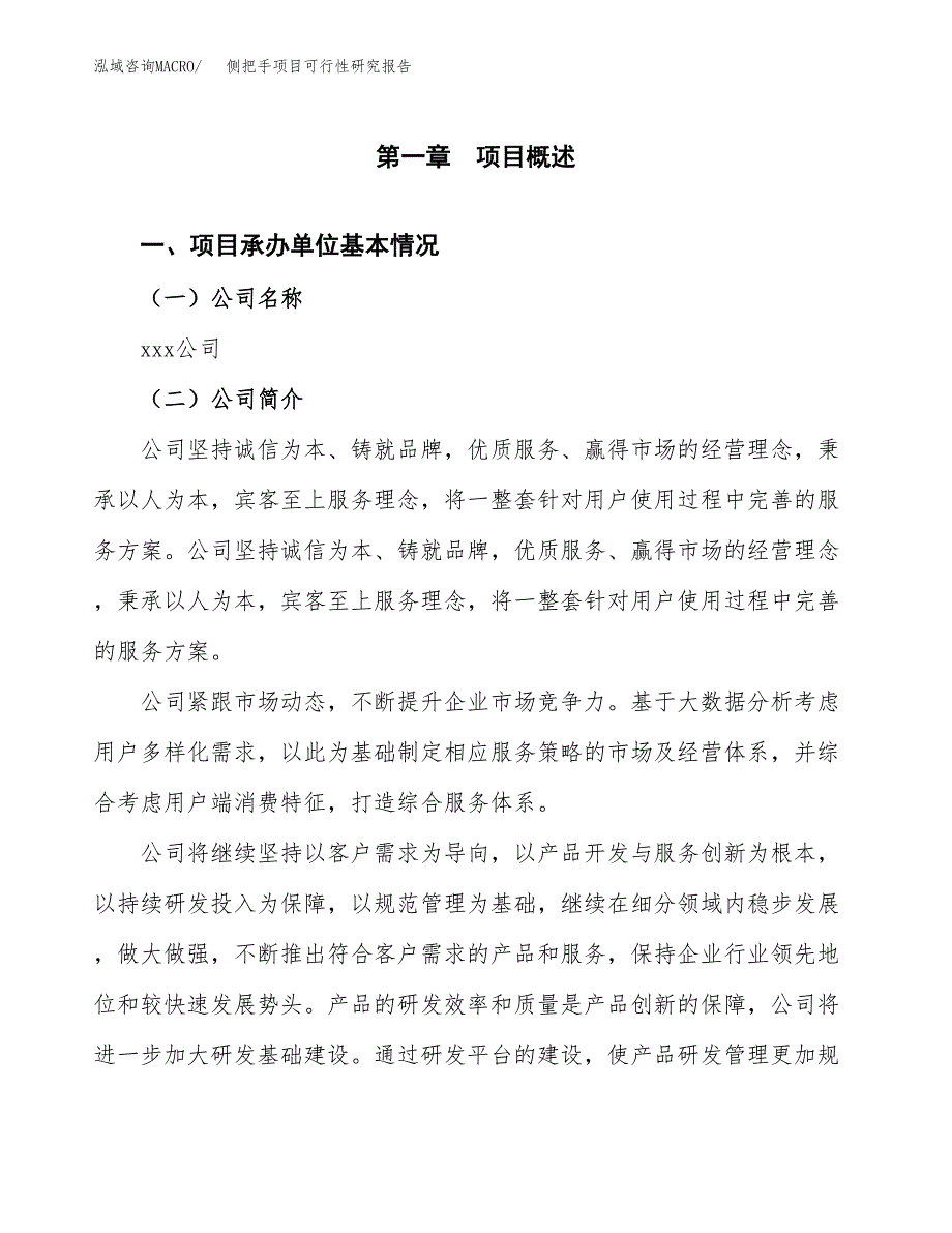 侧把手项目可行性研究报告（总投资9000万元）（39亩）_第3页