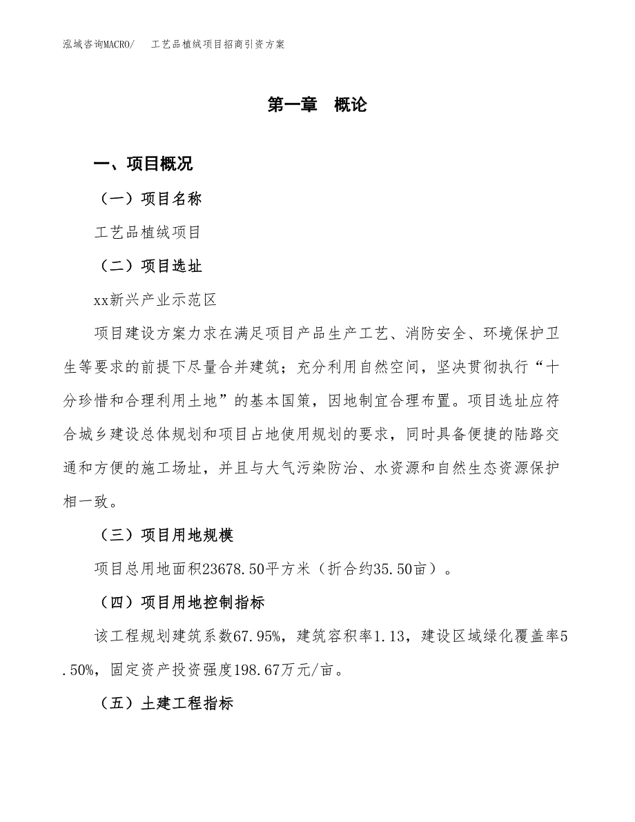 工艺品植绒项目招商引资方案(立项报告).docx_第1页