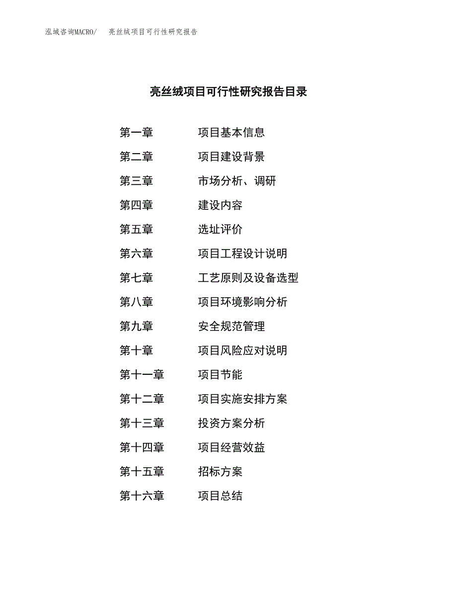 亮丝绒项目可行性研究报告（总投资3000万元）（12亩）_第2页