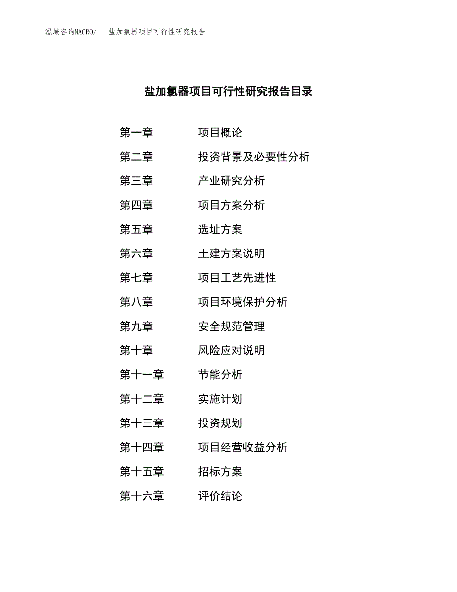 盐加氯器项目可行性研究报告（总投资17000万元）（70亩）_第2页