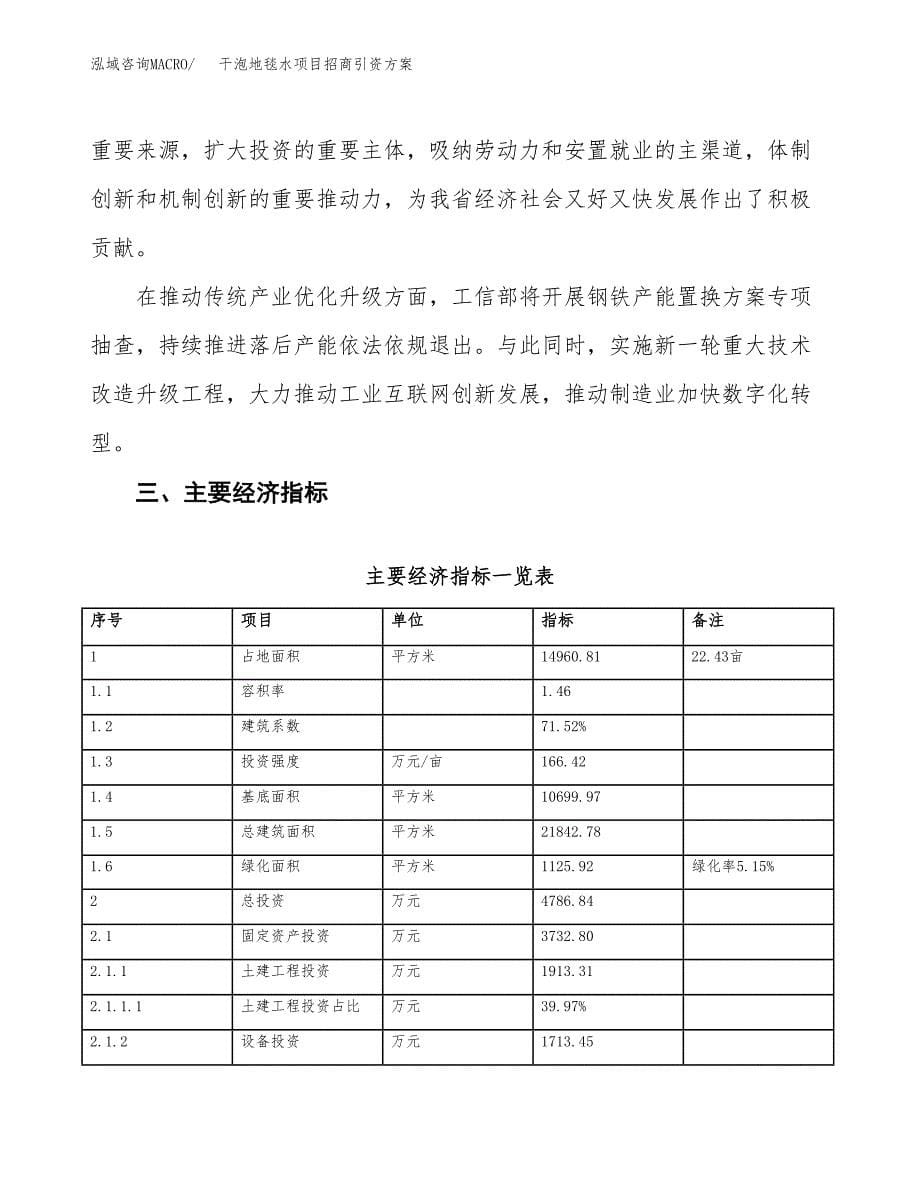 干泡地毯水项目招商引资方案(立项报告).docx_第5页