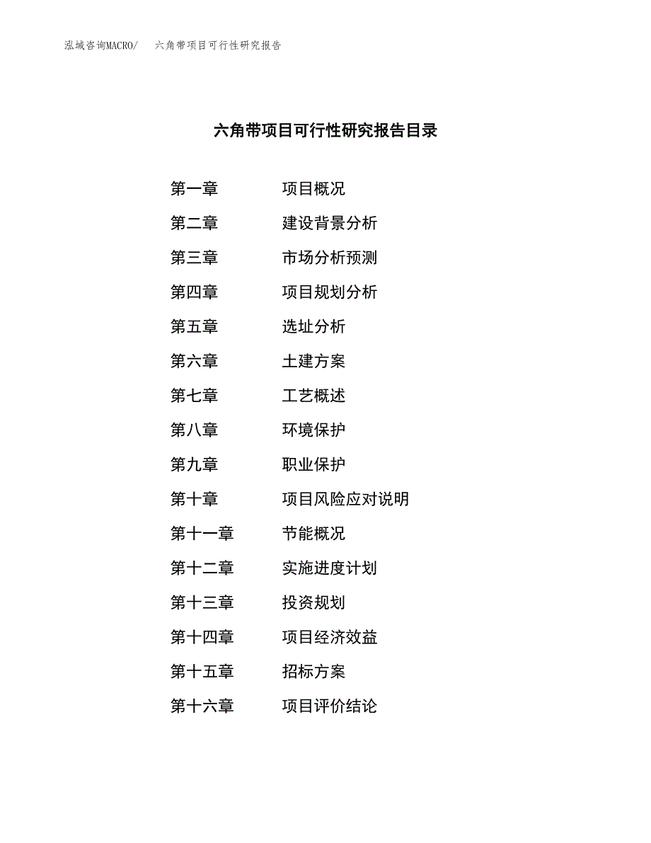 六角带项目可行性研究报告（总投资3000万元）（11亩）_第2页