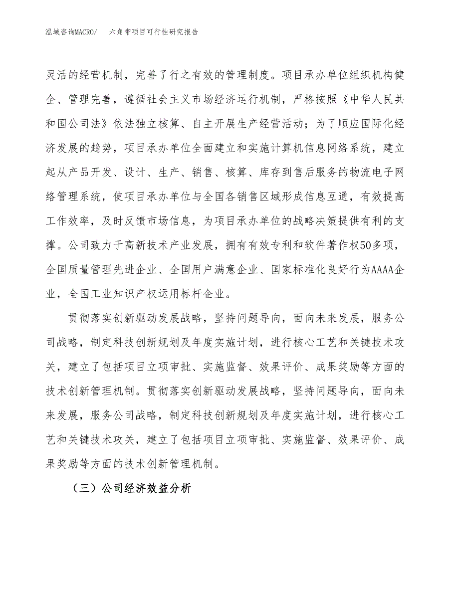 六角带项目可行性研究报告（总投资3000万元）（11亩）_第4页