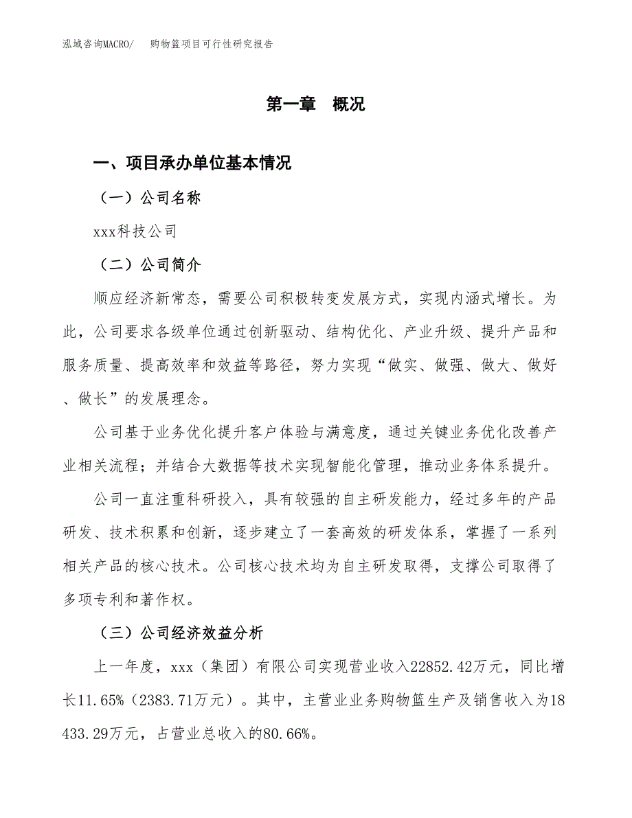 购物篮项目可行性研究报告（总投资17000万元）（80亩）_第3页