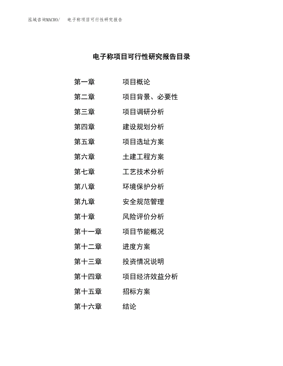 电子称项目可行性研究报告（总投资11000万元）（41亩）_第2页