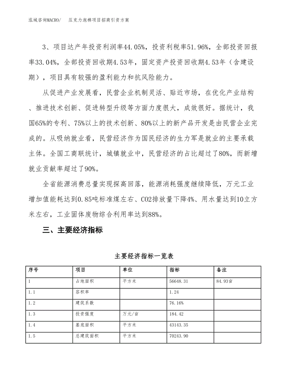 压克力泡棉项目招商引资方案(立项报告).docx_第4页