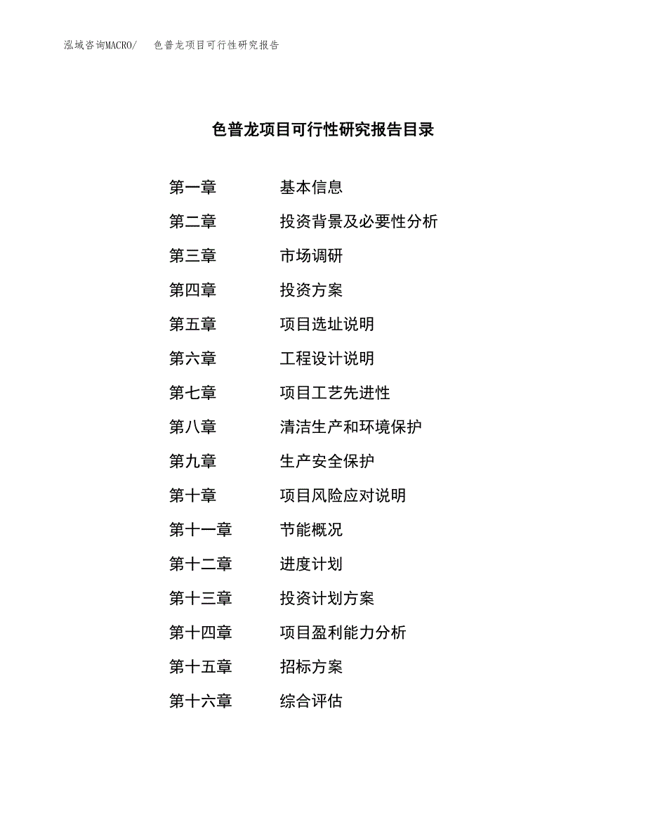 色普龙项目可行性研究报告（总投资19000万元）（79亩）_第2页