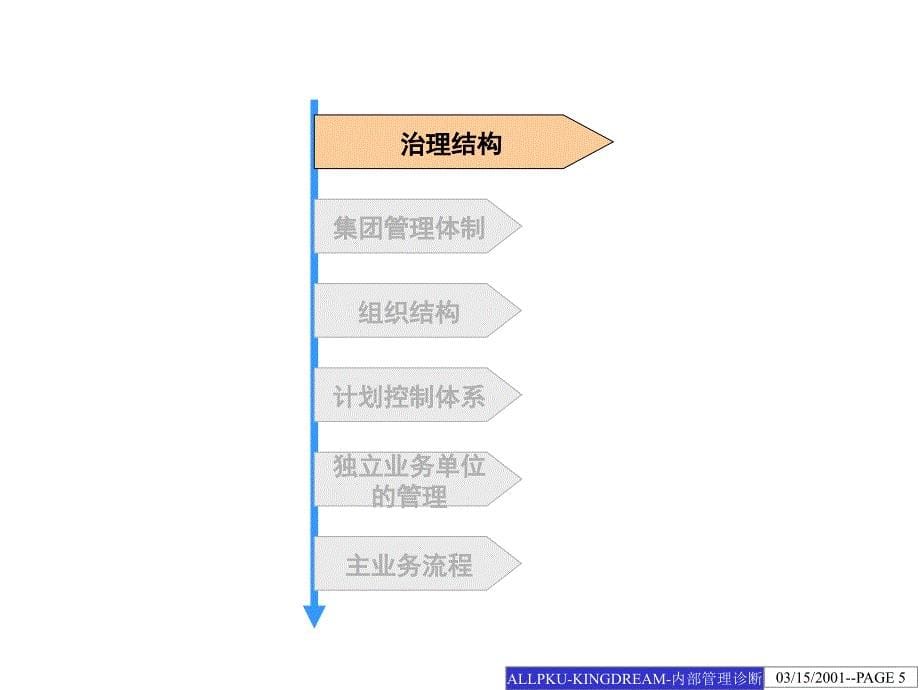 2019年集团公司内部管理诊断分析报告_第5页