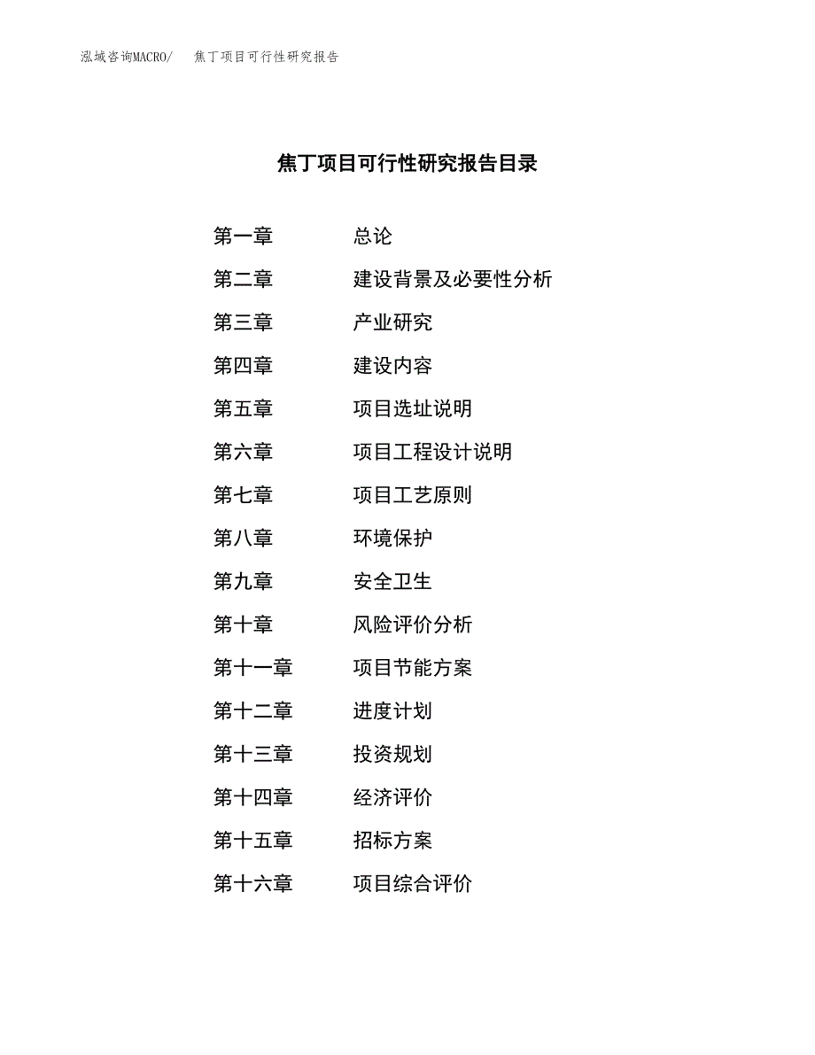 焦丁项目可行性研究报告（总投资21000万元）（85亩）_第2页