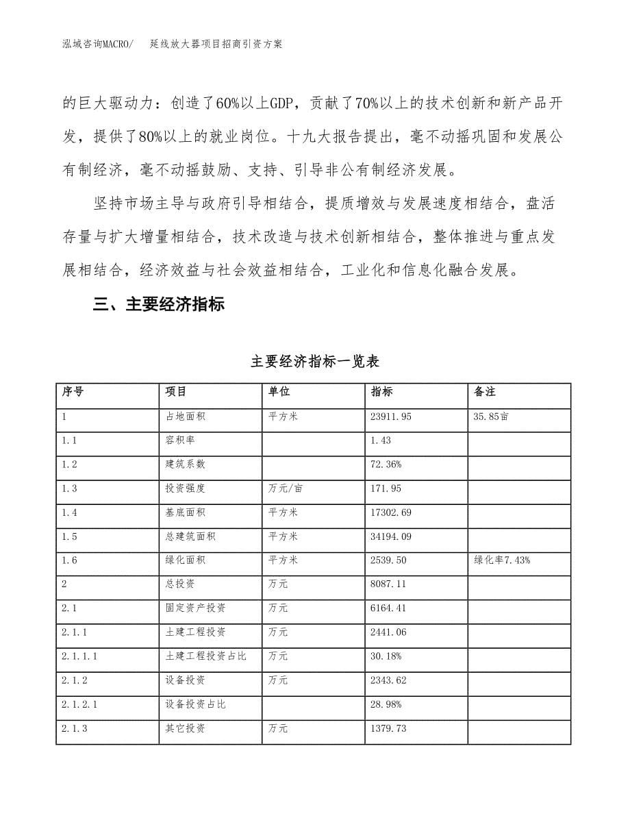延线放大器项目招商引资方案(立项报告).docx_第5页