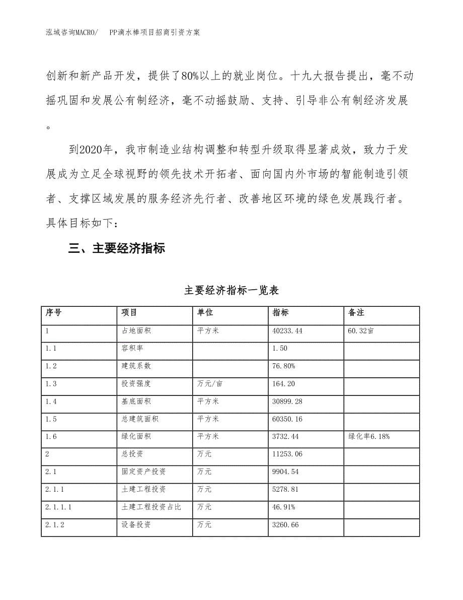 PP滴水棒项目招商引资方案(立项报告).docx_第5页