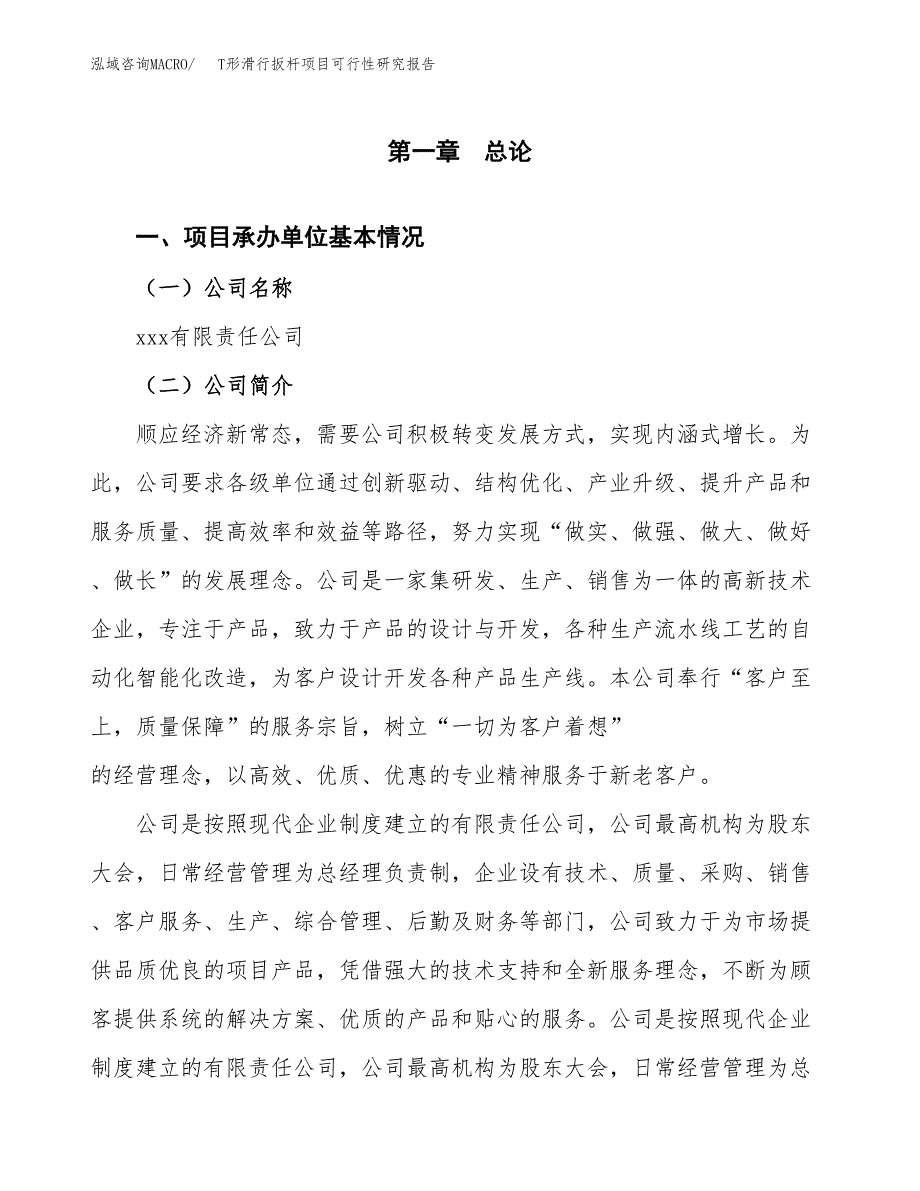 T形滑行扳杆项目可行性研究报告（总投资17000万元）（70亩）_第3页