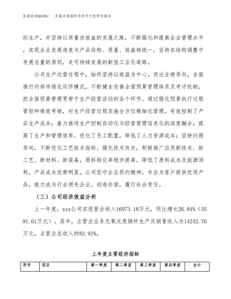 无氧光亮铜杆项目可行性研究报告-立项备案.docx_第5页